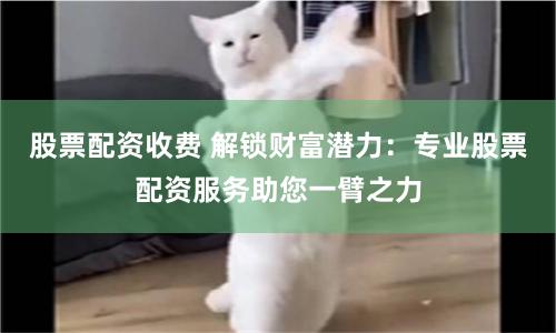 股票配资收费 解锁财富潜力：专业股票配资服务助您一臂之力