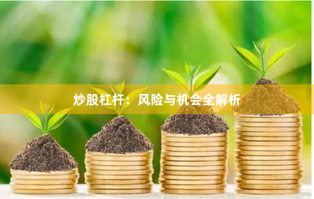 炒股杠杆：风险与机会全解析